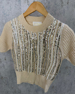 Sequin Knit Sweater Top