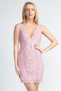 Deep V Laced Bodycon Dress